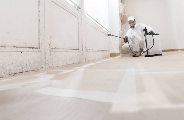 24/7 Emergency Basement Mold Remediation experts in Fayetteville, GA