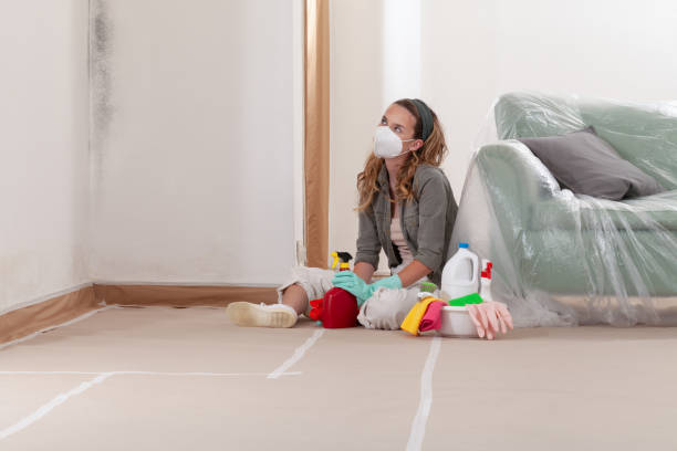 Reliable Basement Mold Remediation contractor in Fayetteville, GA by WQB Mold Removal